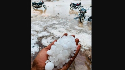 The image was taken after a hailstorm in Gujarat. (X/@Kaushikdd) The image was taken after a hailstorm in Gujarat. (X/@Kaushikdd)