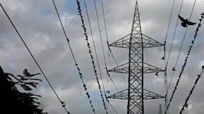 To enhance power distribution networks nationwide, the Union Government has undertaken RDSS (Revamped Distribution Sector scheme) and allocated  ₹ 42,000 crore for Maharashtra, said official. (REPRESENTATIVE PHOTO)