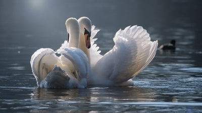 Weekly Love Horoscope for Nov 27- Dec 3, 2023. Weekly Love Horoscope for Nov 27- Dec 3, 2023.