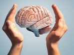 Our brains mould themselves as we acquire new information or skills