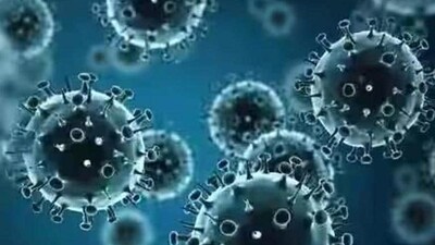 The individual concerned had experienced a mild illness and fully recovered, UK's health ministry said. (Representational) The individual concerned had experienced a mild illness and fully recovered, UK's health ministry said. (Representational)