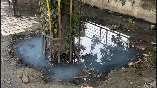 An overflowing sewer in Sector 39, Chandigarh road, in Ludhiana. (HT Phoot)