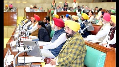 Punjab CM Bhagwant Singh Mann during the first day of Vidhan Sabha session at Chandigarh on Tuesday. (Ravi Kumar/HT)