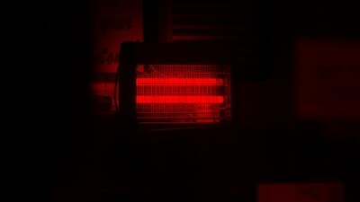 Invest in a Warmex heater to deal with winter chill confidently. (Unsplash) Invest in a Warmex heater to deal with winter chill confidently. (Unsplash)