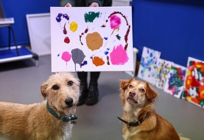 Former rescue dogs Alba and Rosie pose with a painting they helped to create. (AFP) Former rescue dogs Alba and Rosie pose with a painting they helped to create. (AFP)