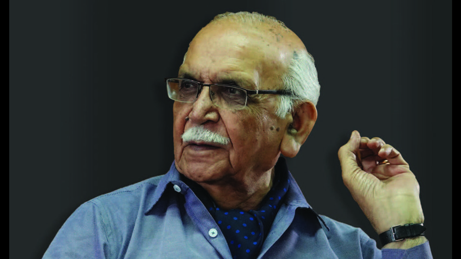 BN Goswamy: Elevating the artist over the patron - Vimarsana News