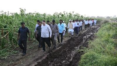 Co-operatives and district guardian minister Dilip Walse-Patil visited the rain ravaged areas on Monday. Many areas of Maharashtra, including Solapur, Hingoli and parts of Vidarbha, continued to experience heavy rains on the third consecutive day on Tuesday. (HT) Co-operatives and district guardian minister Dilip Walse-Patil visited the rain ravaged areas on Monday. Many areas of Maharashtra, including Solapur, Hingoli and parts of Vidarbha, continued to experience heavy rains on the third consecutive day on Tuesday. (HT)