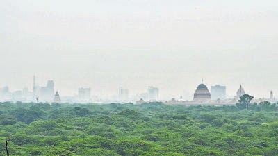 The court remarked that the forest department was not the owner of the Ridge but merely a custodian. (Vipin Kumar/ HT Photo) The court remarked that the forest department was not the owner of the Ridge but merely a custodian. (Vipin Kumar/ HT Photo)
