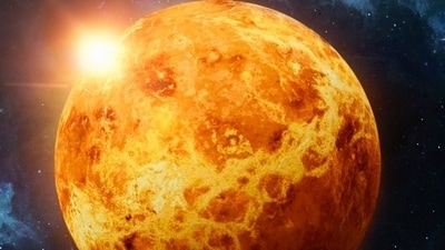 Venus, the planet of love, beauty, and harmony, will grace its home sign, Libra, on November 30, 2023. Venus, the planet of love, beauty, and harmony, will grace its home sign, Libra, on November 30, 2023.