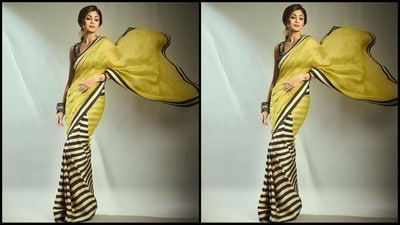 On Tuesday, Shilpa gave her followers a sweet surprise as the actress took to Instagram and uploaded a series of glam pictures accompanied by the caption, "Wearing my stripes". (Instagram/@theshilpashetty) On Tuesday, Shilpa gave her followers a sweet surprise as the actress took to Instagram and uploaded a series of glam pictures accompanied by the caption, "Wearing my stripes". (Instagram/@theshilpashetty)