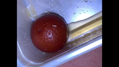 The image shows a worm wriggling on a piece of gulab jamun. (Instagram/@tn38_foodie) The image shows a worm wriggling on a piece of gulab jamun. (Instagram/@tn38_foodie)