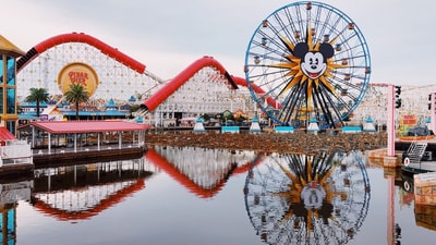 A girl asked KTR to bring Disneyland to Hyderabad. (Unsplash)