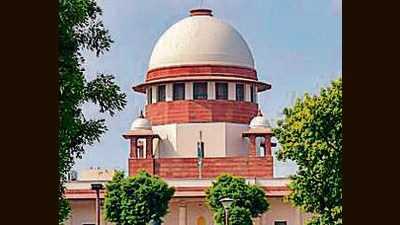 The court was hearing a public interest litigation (PIL) filed by 13 retired public servants who had challenged the constitutional validity of the amendments claiming it to be a “death knell” on India’s forests. (PTI)