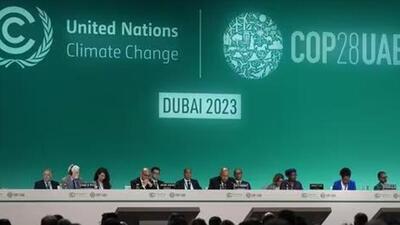 UAE is hosting the COP28 Summit in Dubai (AP Photo)