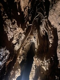 Arwah Cave (Soumya Vajpayee/HT) Arwah Cave (Soumya Vajpayee/HT)