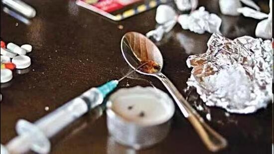 The employees of a Ludhiana-based courier firm found ‘pinnis’ stuffed with opium in a parcel bound for Canada. (HT File)