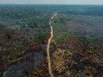Cattle ranching in Brazil is linked to nearly 24% of global annual tropical deforestation and approximately 10% of total global greenhouse gas emissions, the conservancy said.(AFP)