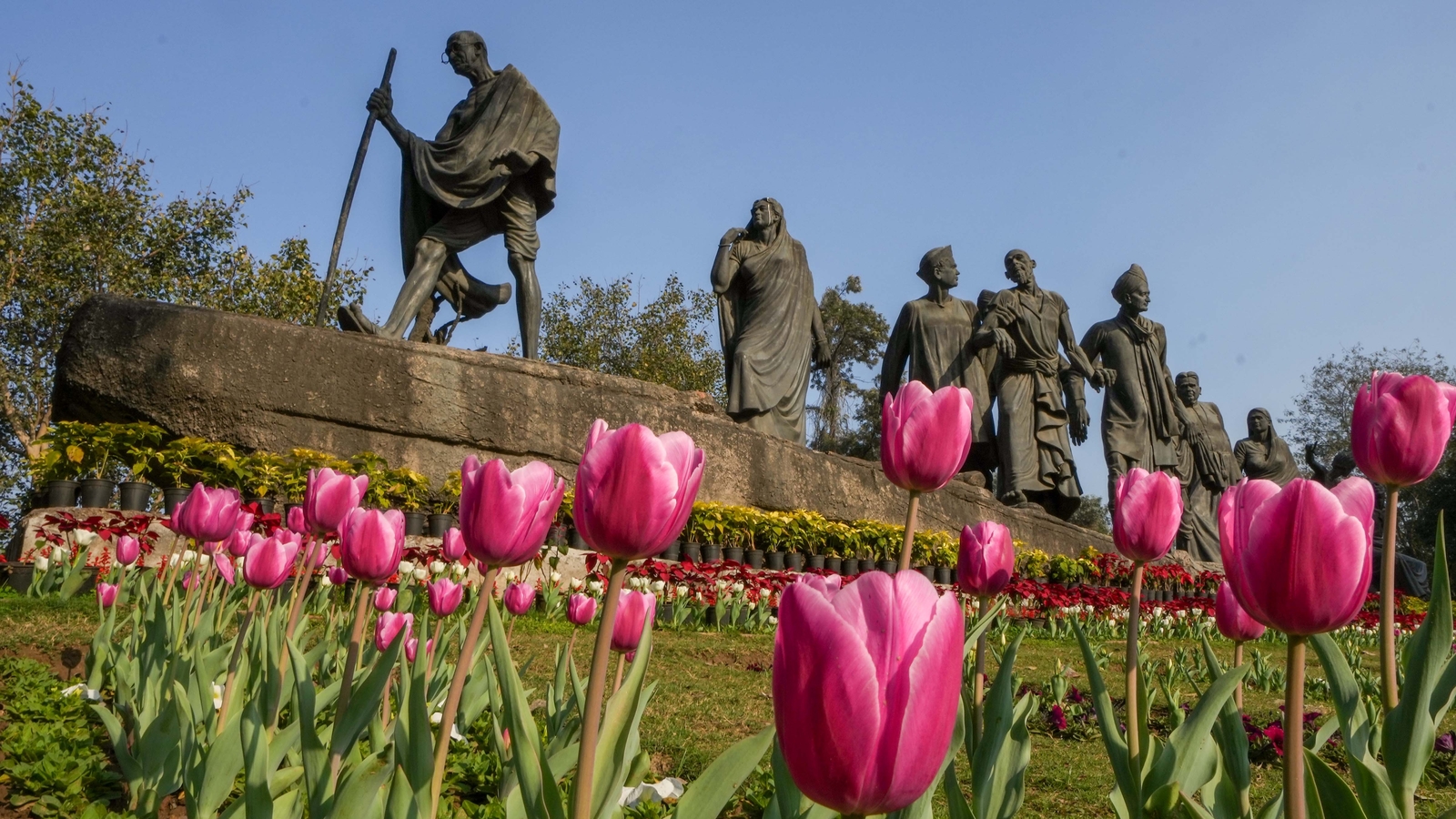 What explains Delhi's love affair with the tulip? - Vimarsana News