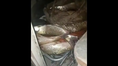 A screen grab of the video that has gone viral on social media (Sourced)
