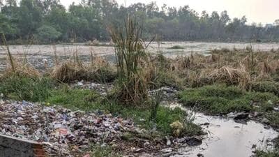 A waterbody near Surajpur police lines in Greater Noida being used as wasteland. (HT Archive) A waterbody near Surajpur police lines in Greater Noida being used as wasteland. (HT Archive)
