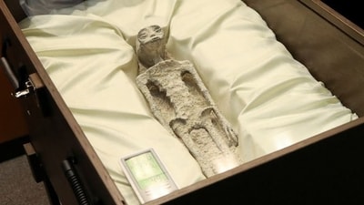 One of the two ‘non-human alien corpses’ displayed at Mexico Congress (X(formerly Twitter)/@iohmbra) One of the two ‘non-human alien corpses’ displayed at Mexico Congress (X(formerly Twitter)/@iohmbra)