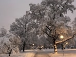 People walk in a snow covered park after heavy snowfall hit Bavaria and its capital Munich, Germany, December 2, 2023.