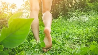 A walk in nature, barefoot in grass helps us to feel more grounded in the moment and calms the nervous system. (Unsplash) A walk in nature, barefoot in grass helps us to feel more grounded in the moment and calms the nervous system. (Unsplash)