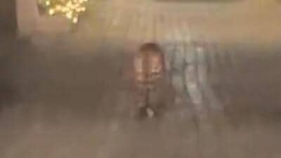 A videograb of the leopard. (HT Photo) A videograb of the leopard. (HT Photo)