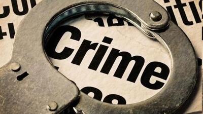 Chandigarh Police arrested seven proclaimed offenders. (HT File)