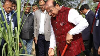 Officials from the LG’s office said funds amounting to around ₹800 crore were released for this project by the Union ministry of housing and urban affairs (MoHUA) earlier in October. (HT Photo) Officials from the LG’s office said funds amounting to around ₹800 crore were released for this project by the Union ministry of housing and urban affairs (MoHUA) earlier in October. (HT Photo)