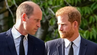 Princes William and Prince Harry (AFP) Princes William and Prince Harry (AFP)