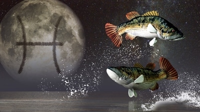Weekly Horoscope Pisces, Dec 3-9, 2023: This week will serve as a fertile time for you, dear Pisces.