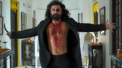 Ranbir Kapoor in a still from Animal.
