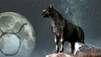 Weekly Horoscope Taurus, Dec 3-9, 2023: For Taurus this week, embrace the whirlwind of events with open arms (shutterstock)