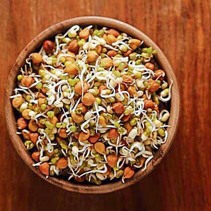The simple act of soaking can make a legume digestible... because it mimics the first stage of growth for a plant. As it prepares to sprout, all the defence mechanisms around the seed start to withdraw. (Adobe Stock) The simple act of soaking can make a legume digestible... because it mimics the first stage of growth for a plant. As it prepares to sprout, all the defence mechanisms around the seed start to withdraw. (Adobe Stock)