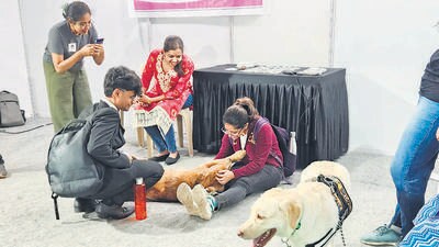 IIT-B sets up recharge zone for stressed students