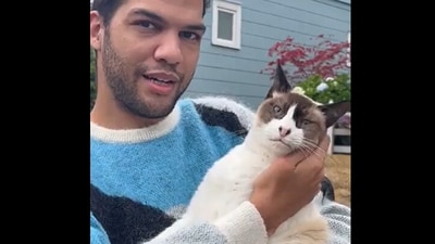 Snapshot of the man picking cats. Snapshot of the man picking cats.