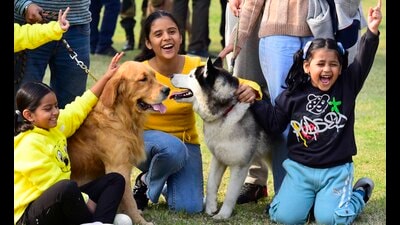 Guru Angad Dev Veterinary and Animal Sciences University in Ludhiana played host to a spectacular display of canine diversity at its annual Dog Show-2023. (Gurpreet Singh/ HT)
