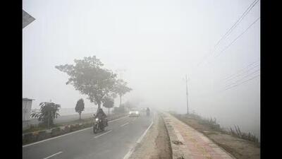 The MeT has forecast dense fog at isolated places for the next two days in Haryana and Punjab. (HT File)