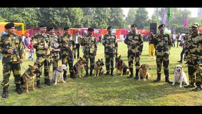 The four-legged furry soldiers stole the show with their skilled performances at Guru Angad Dev Veterinary and Animal Sciences University at its annual Dog Show-2023. (Gurpreet Singh/ HT)