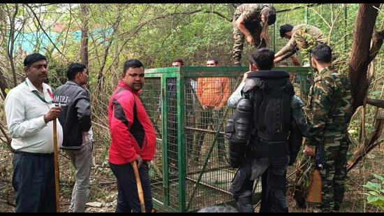 Forest department officials set up a cage after a leopard was spotted at Sainik Farm area, in New Delhi. (PTI)