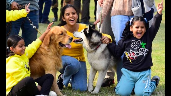Guru Angad Dev Veterinary and Animal Sciences University in Ludhiana played host to a spectacular display of canine diversity at its annual Dog Show-2023. (Gurpreet Singh/ HT)