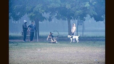 After trace rain (less than 0.1mm) was recorded on Monday by the India meteorological department (IMD), there are chances of moderate to dense fog in the city on Tuesday. (PTI File Photo)