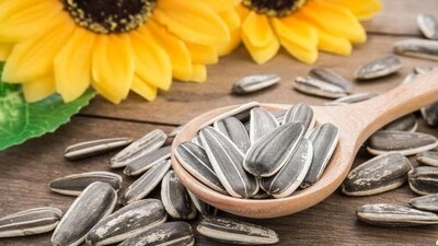 Vitamin B1: The deficiency of this vitamin can manifest into symptoms like fatigue, nerve damage to even heart issues. To beat this, you can include ragi, peas, sunflower seeds, cashew, milk, and pistachios in your diet.&nbsp; (Shutterstock)