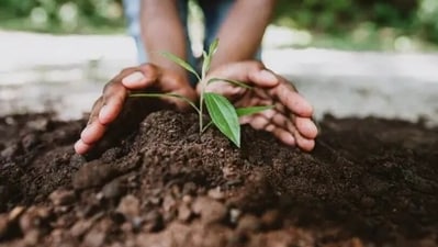World Soil Day 2023: Date, history and significance (Unsplash) World Soil Day 2023: Date, history and significance (Unsplash)