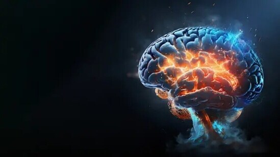 The brain is hugely impacted by the food we eat, the way we socialise and the lifestyle we lead. In order to maintain good brain health, we need to watch our lifestyle and ensure that we provide proper rest and healthy nutrients to the brain for proper functioning. "Our brains are susceptible to many influences, like substances, food intake, exercise and much more. It is very important to nourish your brain, as it can avoid or stall cognitive decline and diseases like dementia," wrote Psychologist Alf Lokkertsen. Here are a few ways to keep the brain healthy.(Unsplash)
