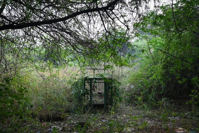 The southern ridge, which includes the Asola Bhatti Wildlife Sanctuary, is an extension of the Aravallis and large parts of this extend into south Delhi neighbourhoods including Devli, Sainik Farms and Neb Sarai among others. (Sanchit Khanna/HT photo)