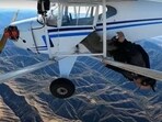 In December 2021, Jacob posted a video of the aircraft crash, passing it off as an accident. In December 2021, Jacob posted a video of the aircraft crash, passing it off as an accident.