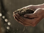 garden_soil