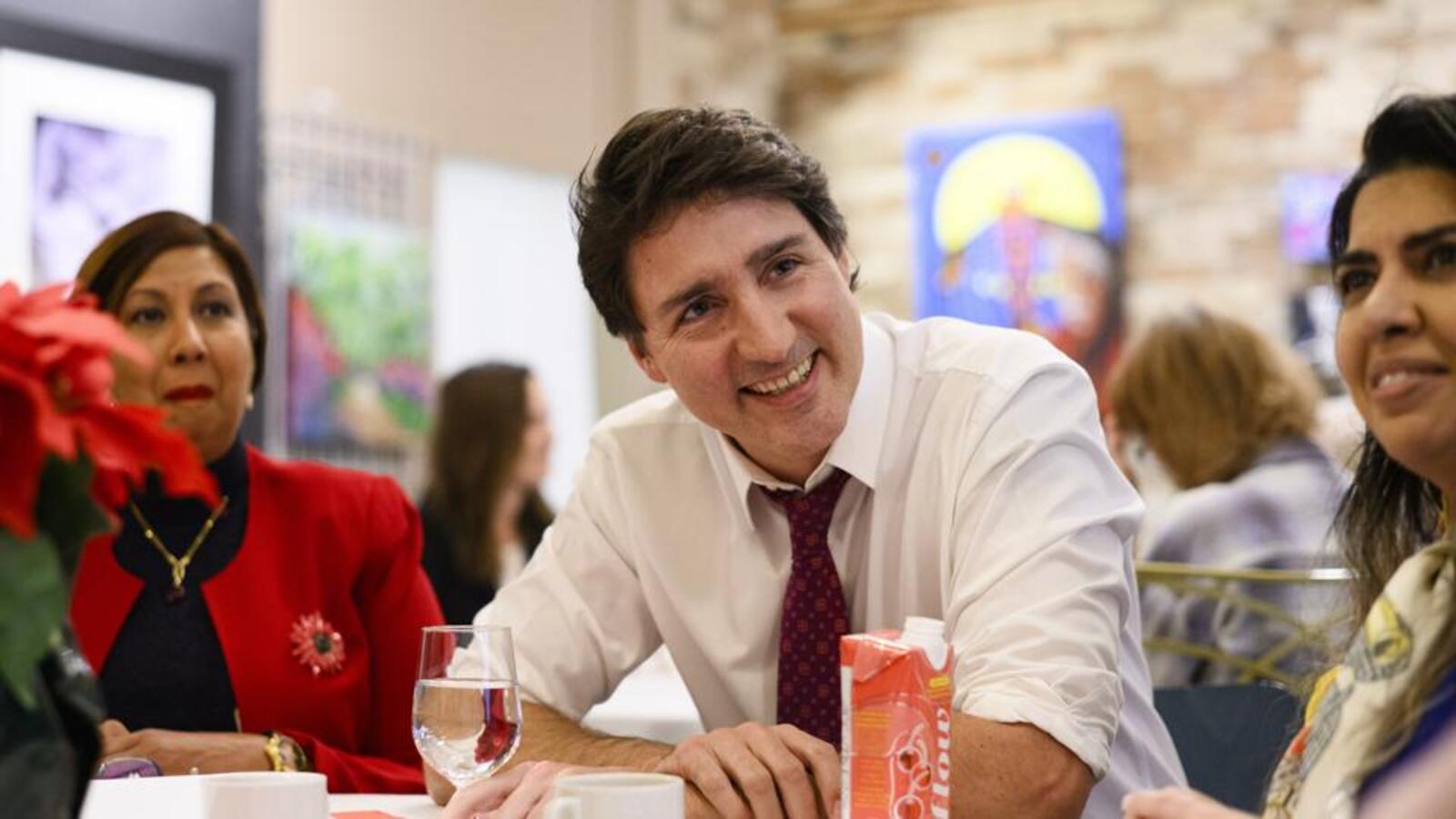 Panel examining foreign interference in Canada to include India within its ambit - Vimarsana News